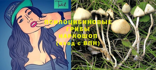 стафф Кинешма