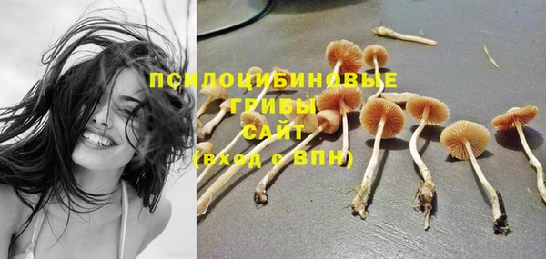 а пвп мука Киреевск