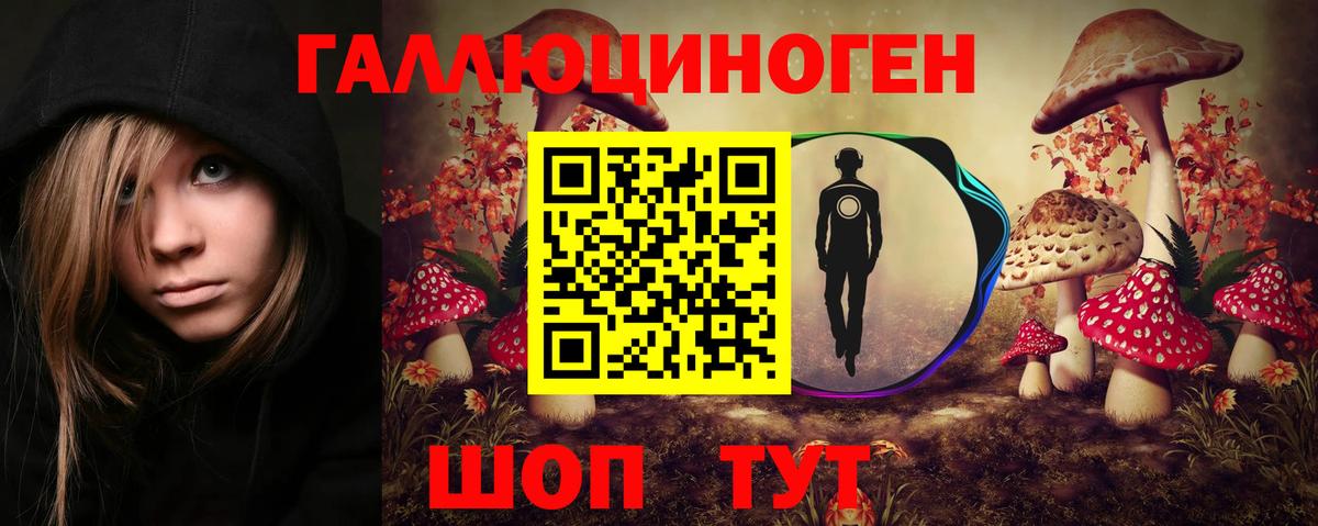 Галлюциногенные грибы Psilocybine cubensis Долгопрудный