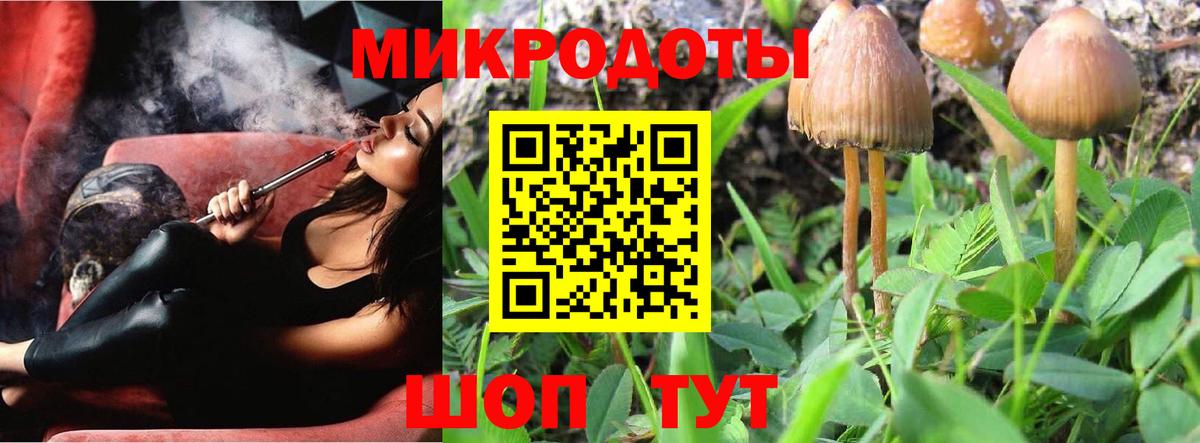 Галлюциногенные грибы MAGIC MUSHROOMS  Галлюциногенные грибы MAGIC MUSHROOMS  Вход с VPN  Долгопрудный 
