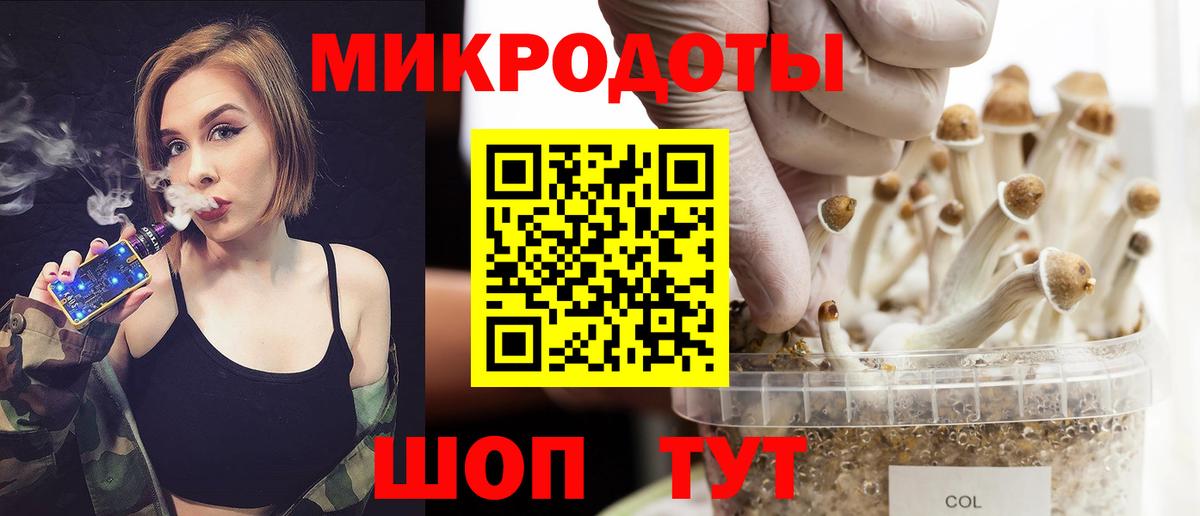 Галлюциногенные грибы Psilocybe  Долгопрудный 