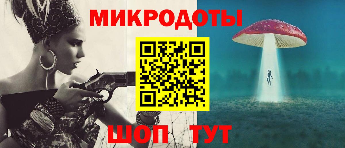 Галлюциногенные грибы Psilocybine cubensis Долгопрудный