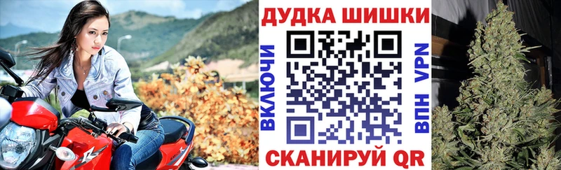 Конопля конопля  нарко площадка наркотические препараты  Долгопрудный 